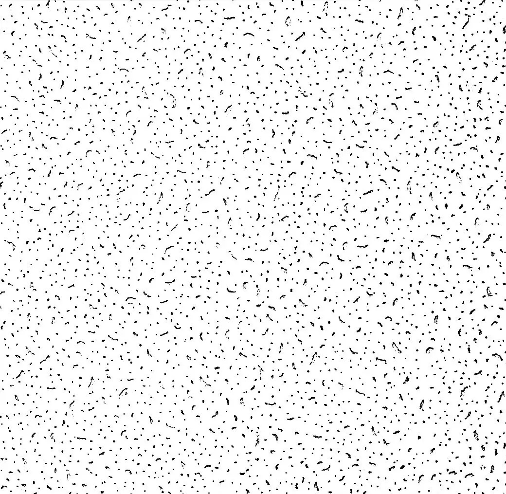 Fibre Minérale